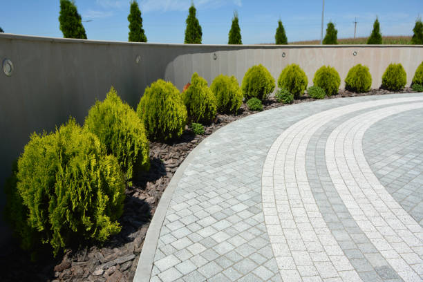 Driveway Repair Near Me in Val Verde, CA